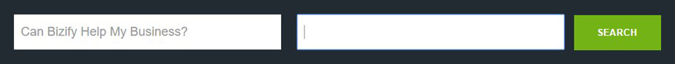 Can Bizify Help Me?