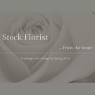 Logo of Stock Florist