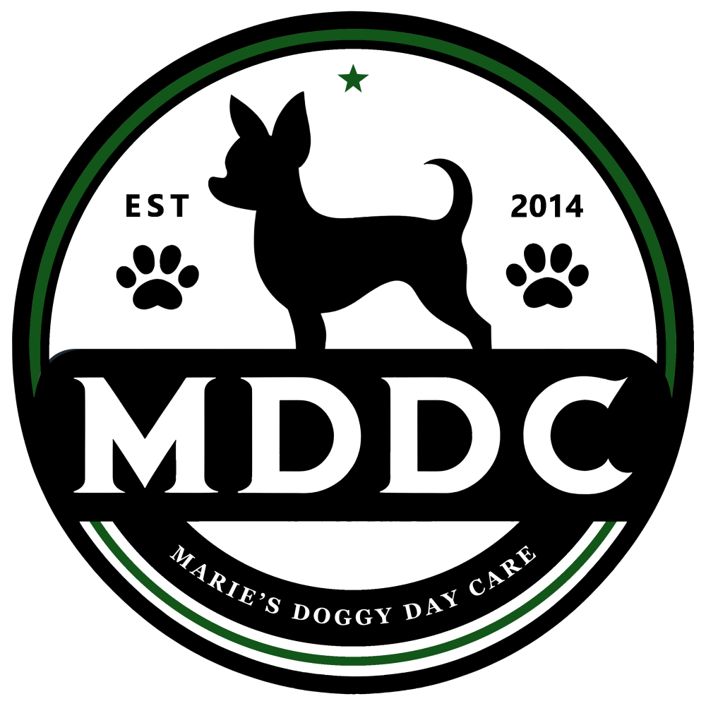 Logo of Maries Doggy Day Care Pet Services In Enfield, London Logo of Maries Doggy Day Care Pet Services In Enfield, London