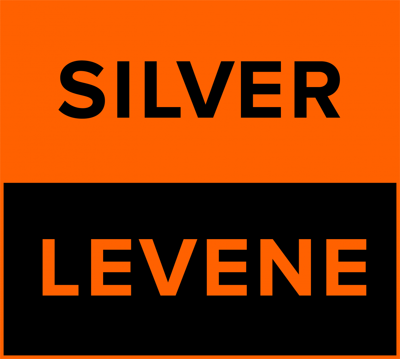 Logo of Silver Levene