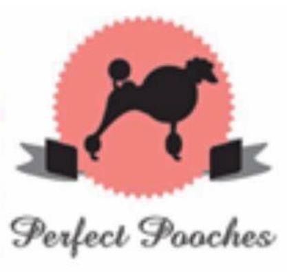 Logo of Perfect Pooches Dog Breeders In Crowhurst, East Sussex Logo of Perfect Pooches Dog Breeders In Crowhurst, East Sussex