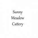 Logo of Sunny Meadows Cattery Boarding Kennels And Catteries In Ryton, Tyne And Wear Logo of Sunny Meadows Cattery Boarding Kennels And Catteries In Ryton, Tyne And Wear