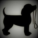 Logo of AC K9 Dog Grooming Dog Clipping And Grooming In Swindon, Wiltshire Logo of AC K9 Dog Grooming Dog Clipping And Grooming In Swindon, Wiltshire