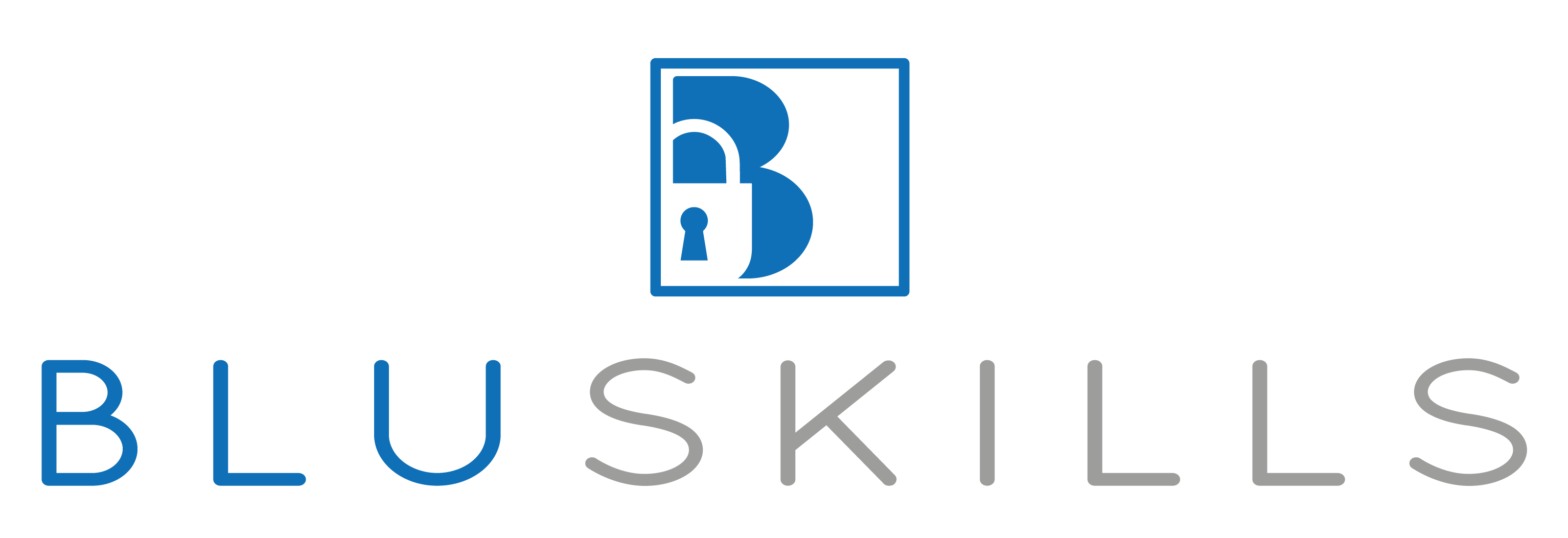 Logo of BluSkills