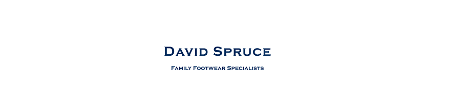 Logo of David Spruce