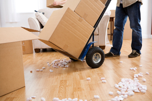 Logo of Jarryls Removals London
