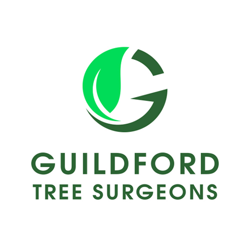 Logo of Guildford Tree Surgeons