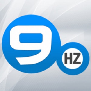 Logo of The NineHertz
