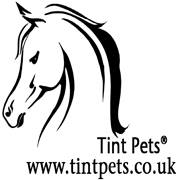 Logo of tintuk ltd