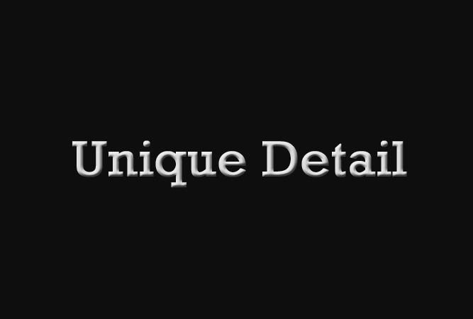 Logo of Unique Detail