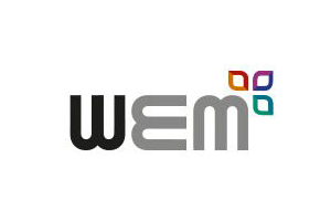 Logo of Wem Technology Ltd