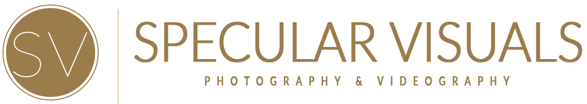 Logo of Specular Visuals