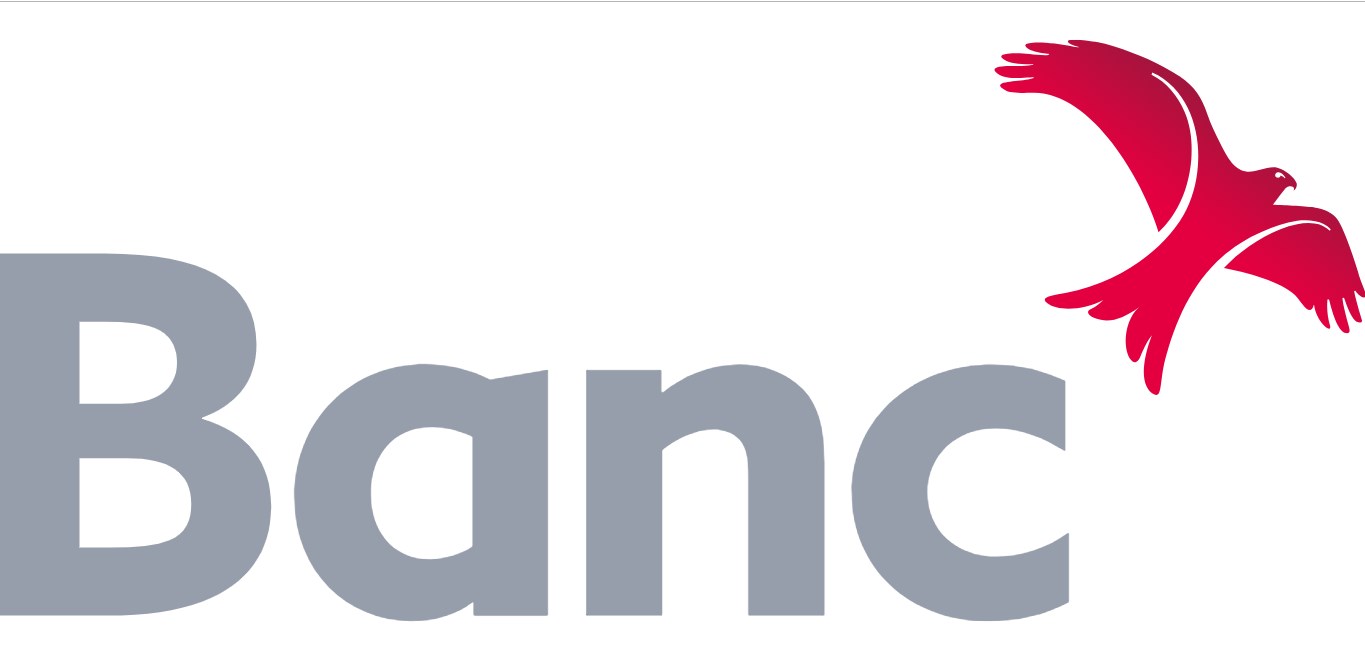Logo of The Development Bank of Wales