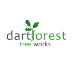 Logo of Dartforest Tree Works Ltd. Tree Surgeon In South Brent, Devon Logo of Dartforest Tree Works Ltd. Tree Surgeon In South Brent, Devon