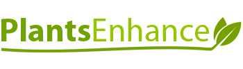 Logo of Plants Enhance On Line Ltd Floral And Plant Displays In Highbridge, Somerset Logo of Plants Enhance On Line Ltd Floral And Plant Displays In Highbridge, Somerset