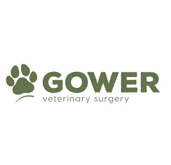 Logo of Gower Veterinary Surgery Veterinary Surgeons And Practitioners In Swansea, Wales Logo of Gower Veterinary Surgery Veterinary Surgeons And Practitioners In Swansea, Wales