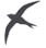 Logo of Swift Electrical Services