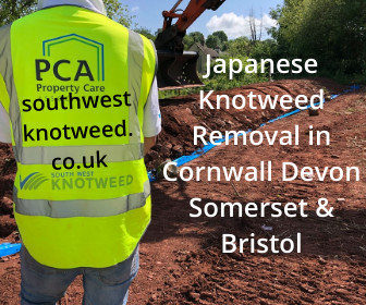 Logo of Southwest Japanese Knotweed Removal Cornwall Devon Bristol Somerset