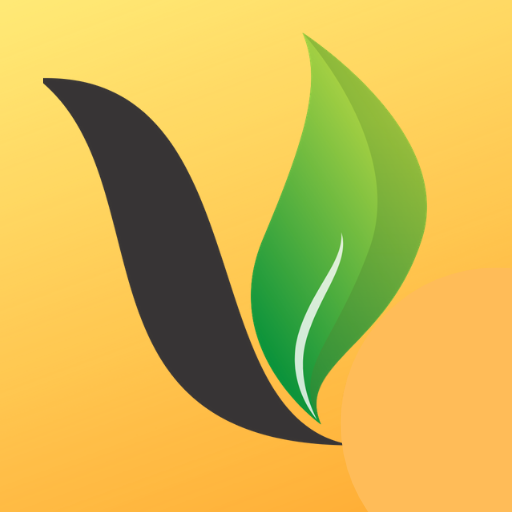 Logo of Vegan Supermarket