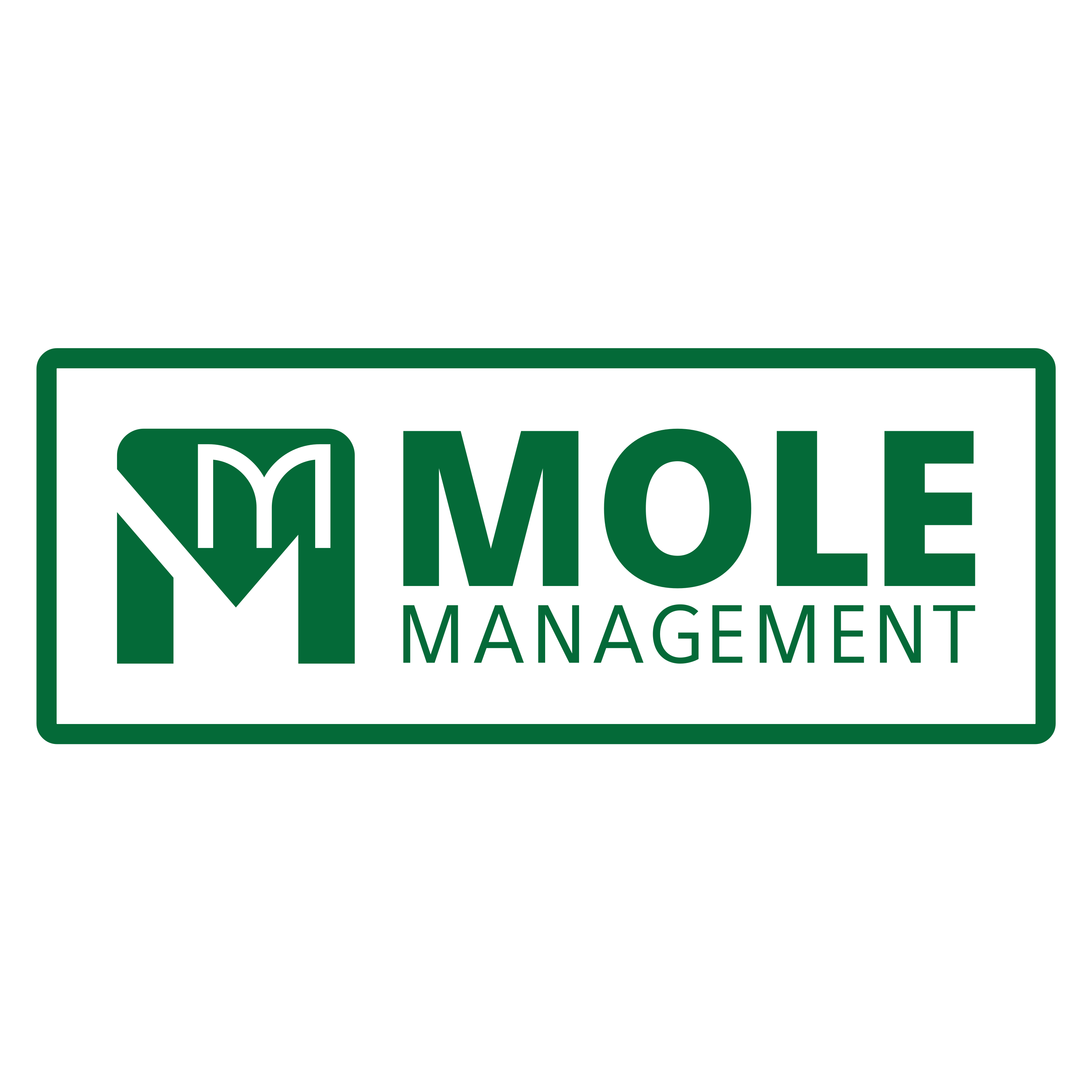 Logo of Mole Management