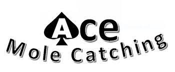 Logo of Ace Mole Catching Pest And Vermin Control In Great Yarmouth, Norfolk Logo of Ace Mole Catching Pest And Vermin Control In Great Yarmouth, Norfolk