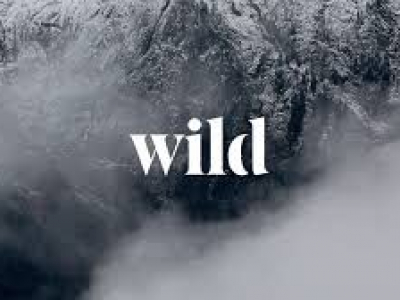 Logo of Wild Creative Studio Limited Film And Video In Hatfield, Hertfordshire Logo of Wild Creative Studio Limited Film And Video In Hatfield, Hertfordshire