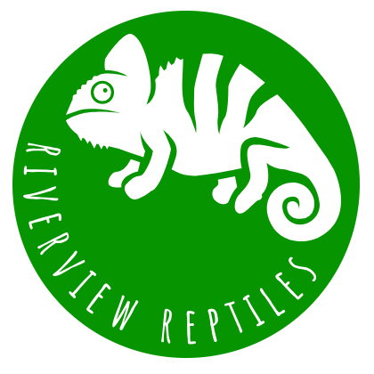 Logo of Riverview Reptiles Reptiles In Loughborough, Leicestershire Logo of Riverview Reptiles Reptiles In Loughborough, Leicestershire