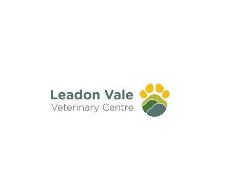 Logo of Leadon Vale Veterinary Centre Veterinary Surgeons And Practitioners In Ledbury, Herefordshire Logo of Leadon Vale Veterinary Centre Veterinary Surgeons And Practitioners In Ledbury, Herefordshire
