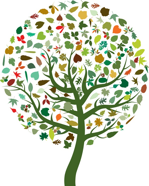 Logo of Garden Waste Away Gardening Services In Torquay, Devon