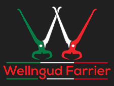 Logo of WellNGud Farrier Farriers In Hounslow, Middlesex Logo of WellNGud Farrier Farriers In Hounslow, Middlesex
