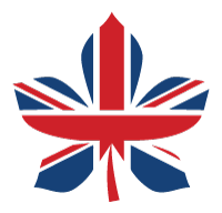 Logo of BritishDissertation Help