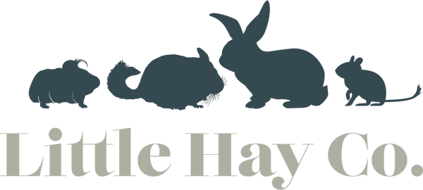 Logo of Little Hay Co Pet Foods And Animal Feeds In Banbury, Oxfordshire Logo of Little Hay Co Pet Foods And Animal Feeds In Banbury, Oxfordshire