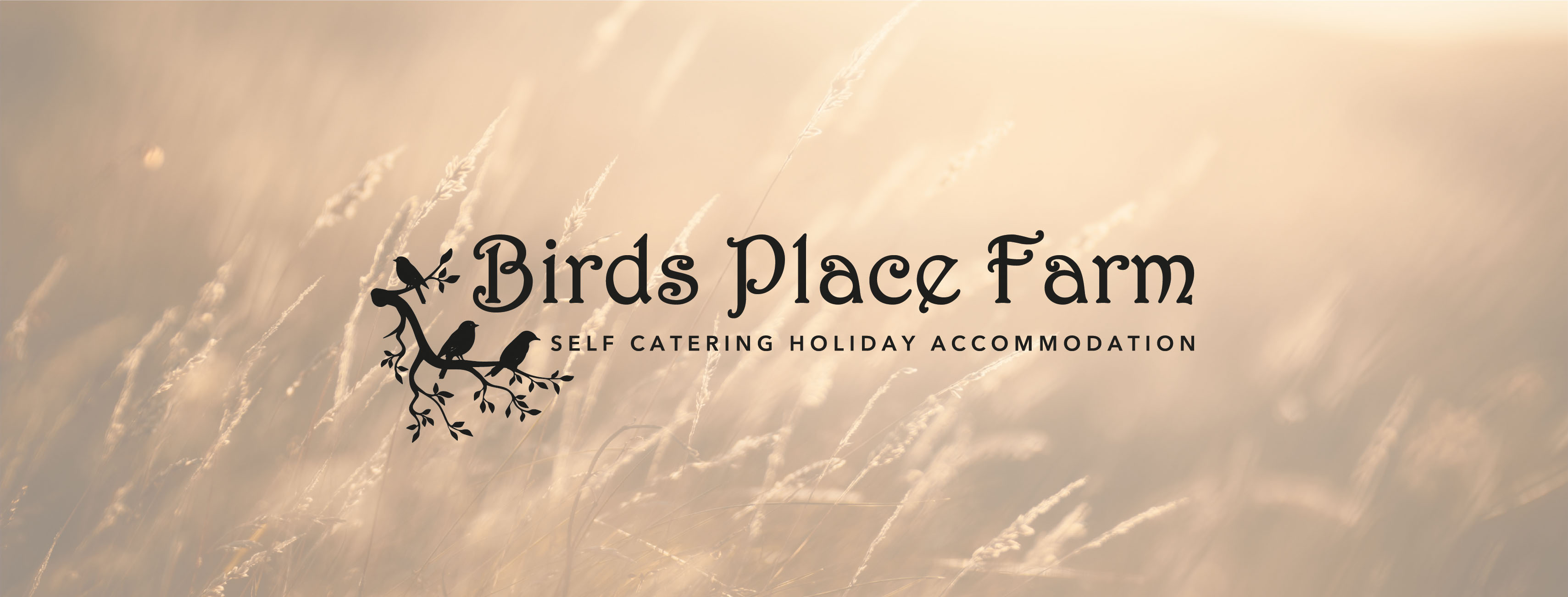 Logo of The Old Stable Yard Birds Place Farm