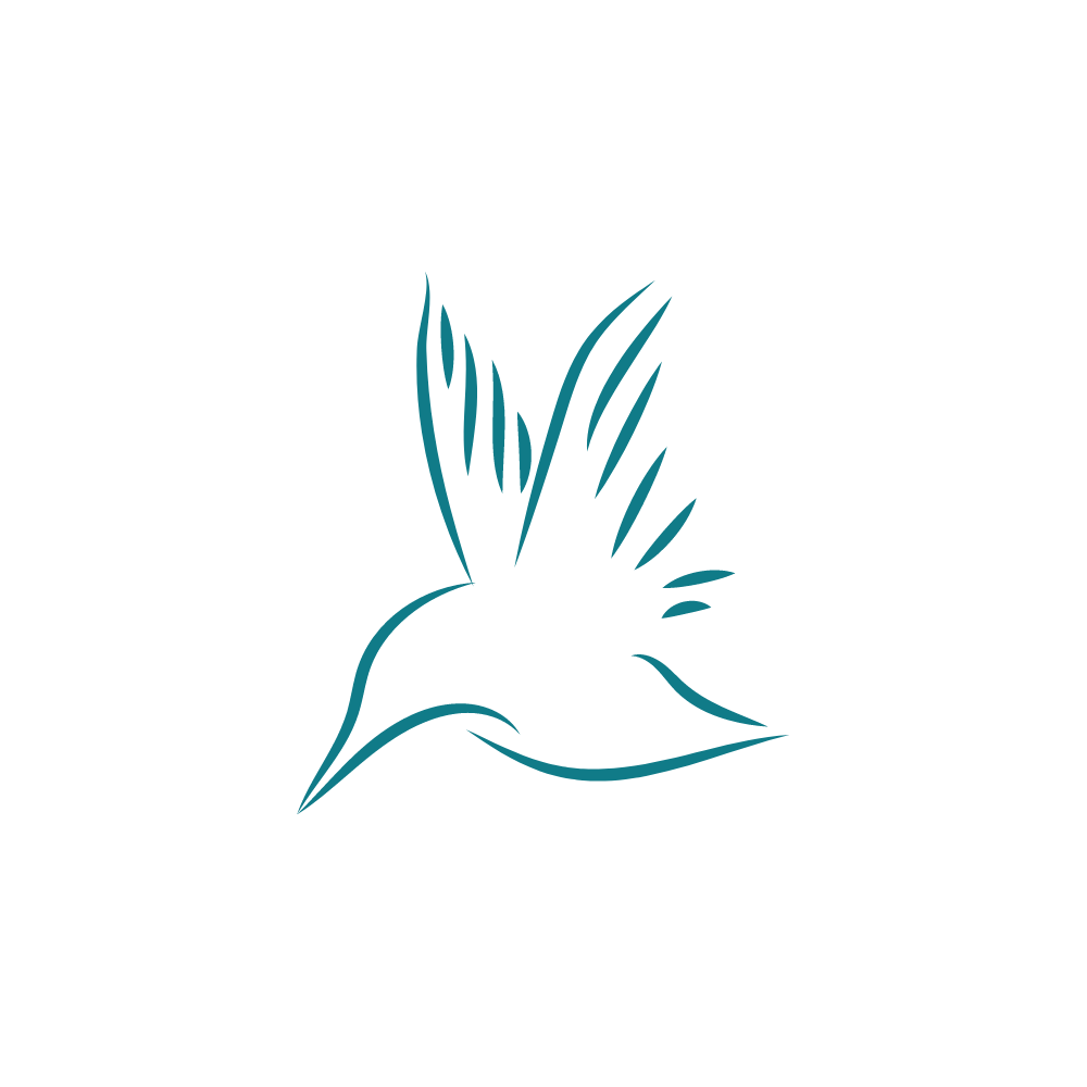 Logo of Kingfisher SEO Creative Marketing In Chichester, West Sussex Logo of Kingfisher SEO Creative Marketing In Chichester, West Sussex