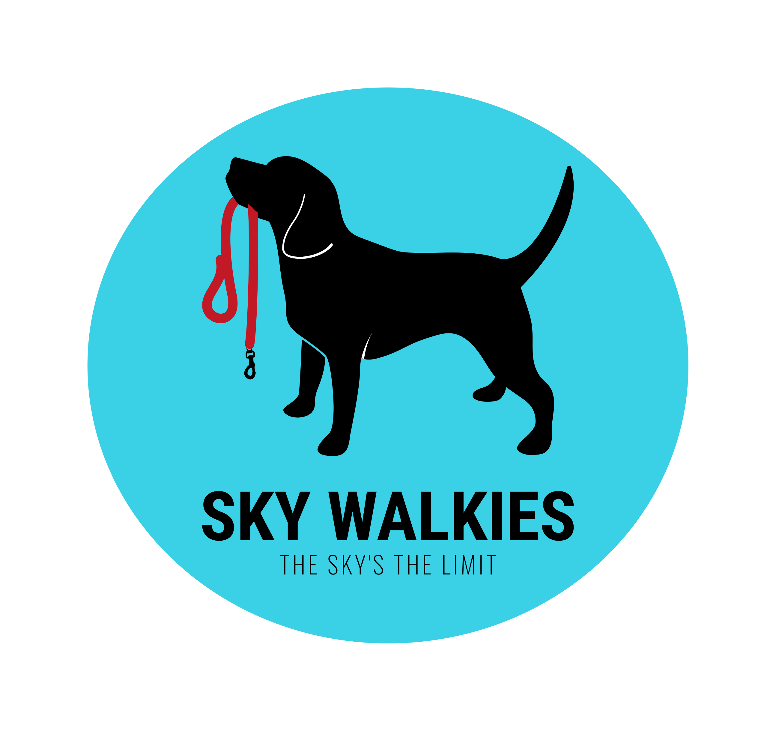 Logo of Sky Walkies Dog Walkers In Dunstable, Bedfordshire Logo of Sky Walkies Dog Walkers In Dunstable, Bedfordshire