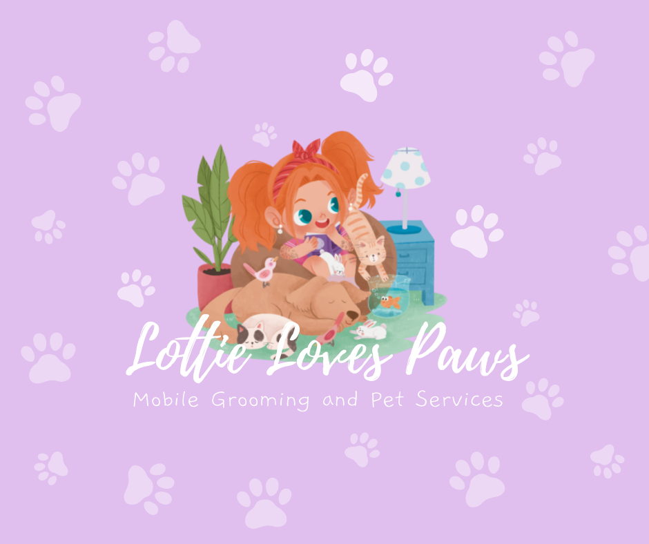 Logo of Lottie Loves Paws Dog Clipping And Grooming In Bolton, Lancashire Logo of Lottie Loves Paws Dog Clipping And Grooming In Bolton, Lancashire
