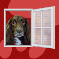 Logo of Lolas House Dog Walkers In Burton Upon Trent, Staffordshire Logo of Lolas House Dog Walkers In Burton Upon Trent, Staffordshire