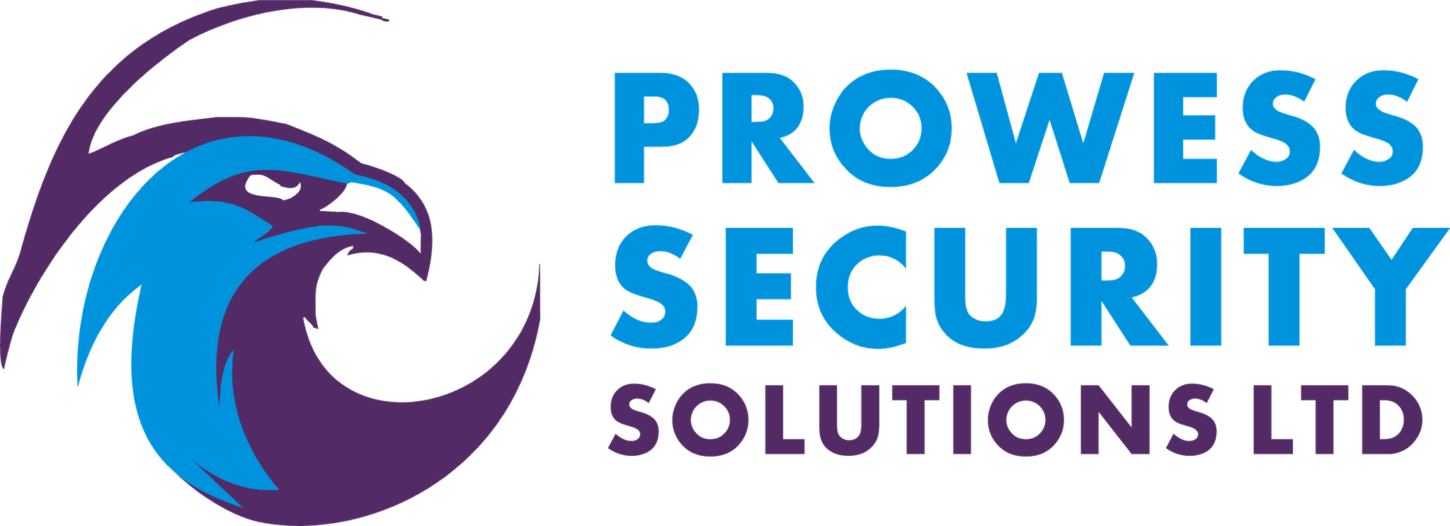 Logo of Prowess Security Solutions Ltd