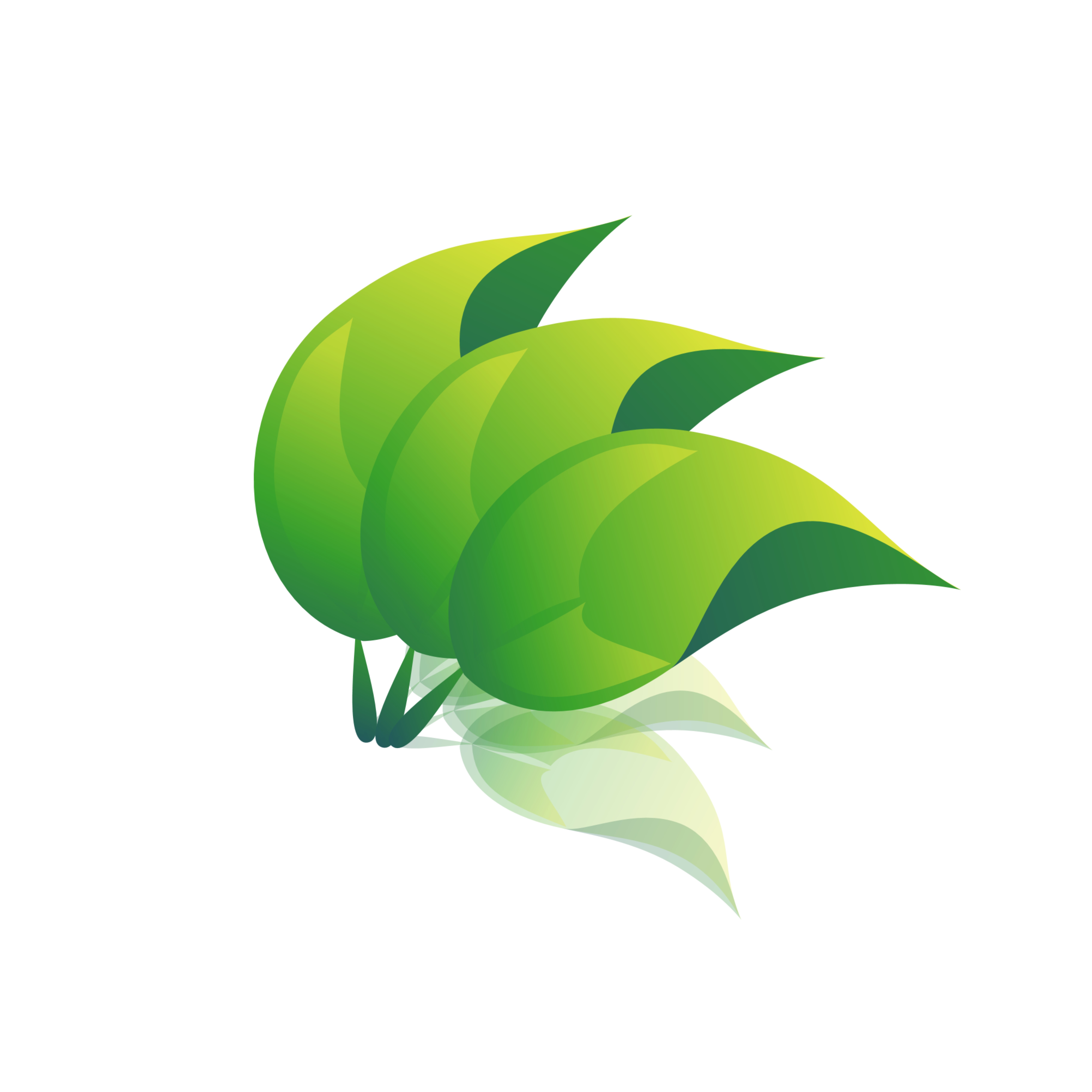 Logo of Kleiderhaus ltd