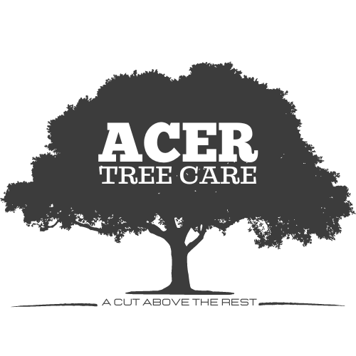 Logo of Acer Tree Care Tree Surgeon In Grimsby, Lincolnshire Logo of Acer Tree Care Tree Surgeon In Grimsby, Lincolnshire