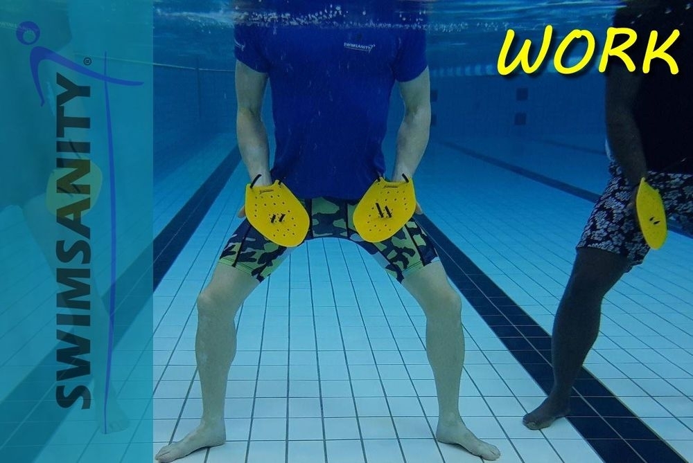 Logo of SwimSanity Ltd - SWIM-SANITY AQUA HIIT INSTRUCTOR ONLINE COURSE