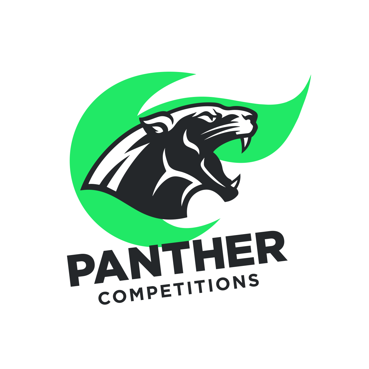 Logo of PANTHER Competitions