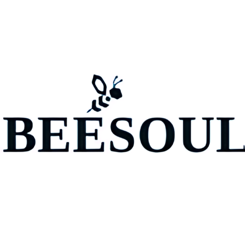 Logo of Beesoul LLC