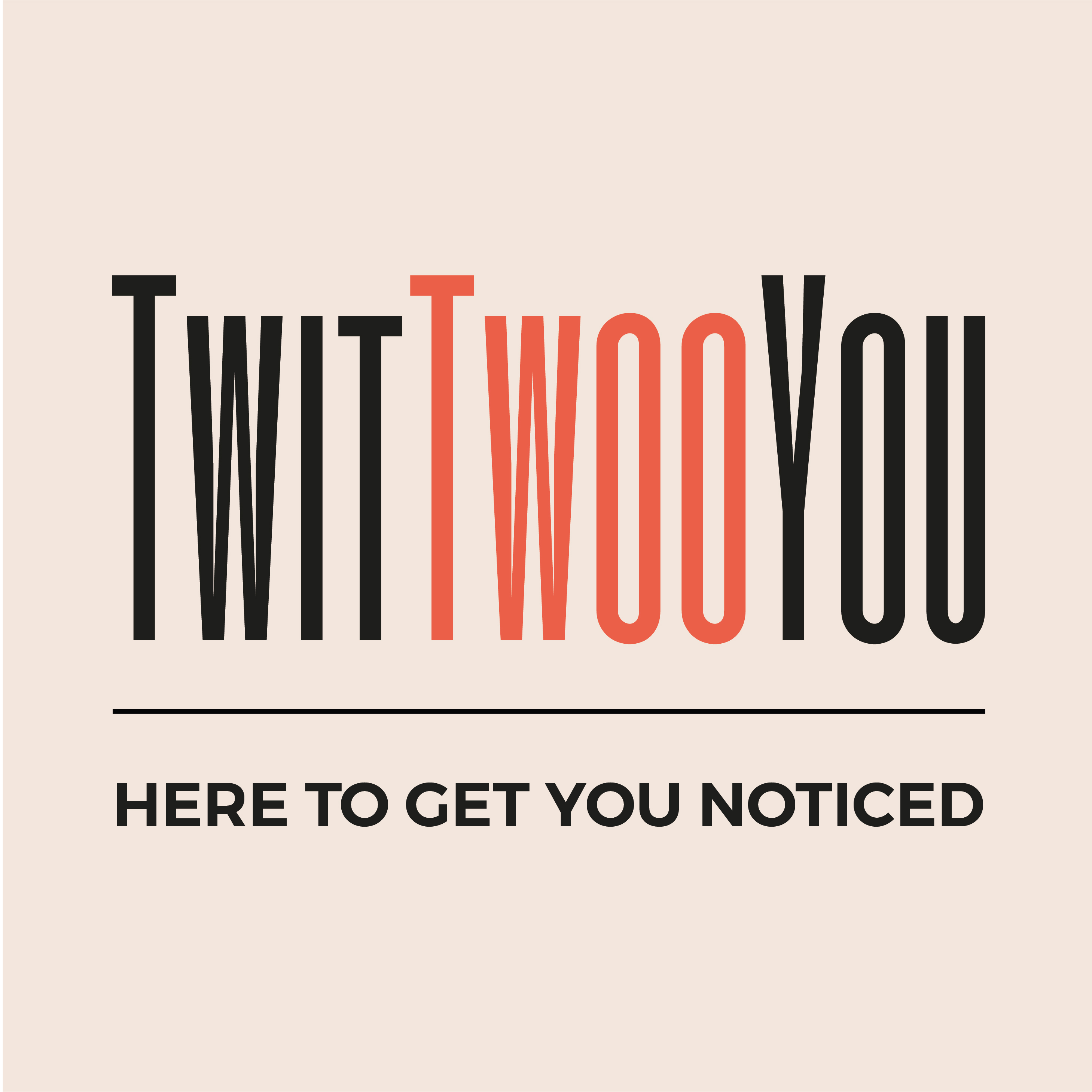 Logo of TwitTwooYou Limited