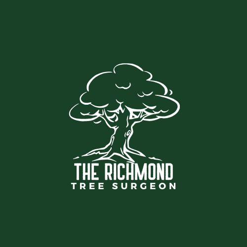 Logo of The Richmond Tree Surgeon Tree Surgeon In Richmond, Greater London Logo of The Richmond Tree Surgeon Tree Surgeon In Richmond, Greater London