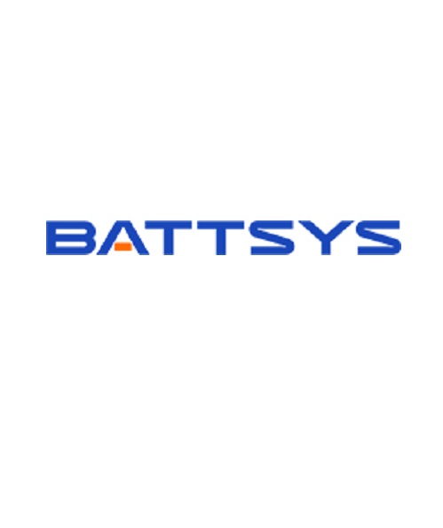 Logo of Professional lithium ion manufacturers China