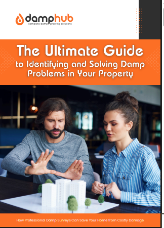 Logo of Damp Hub