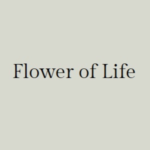 Logo of Flower of life Massage Therapy In Portsmouth, Hampshire