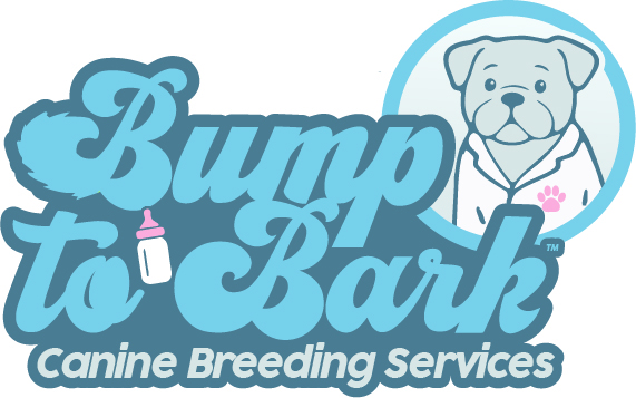 Logo of Bump to Bark Canine Breeding Services Pet Services In Kettering, Northamptonshire