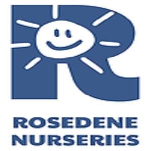 Logo of Rosedene Redcar Children's Nursery Nursery Schools In Redcar, North Yorkshire Logo of Rosedene Redcar Children's Nursery Nursery Schools In Redcar, North Yorkshire